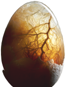 яйце 15 список